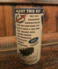 Load image into Gallery viewer, ANCIENT BRISTELCONE PINE Seed Germination Kit