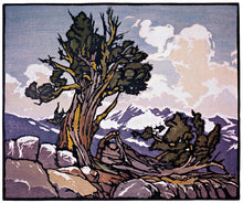 Load image into Gallery viewer, "GUARDIAN OF THE TIMBERLINE" Bristle Cone Pine Art Hat  3 Colorways Avail