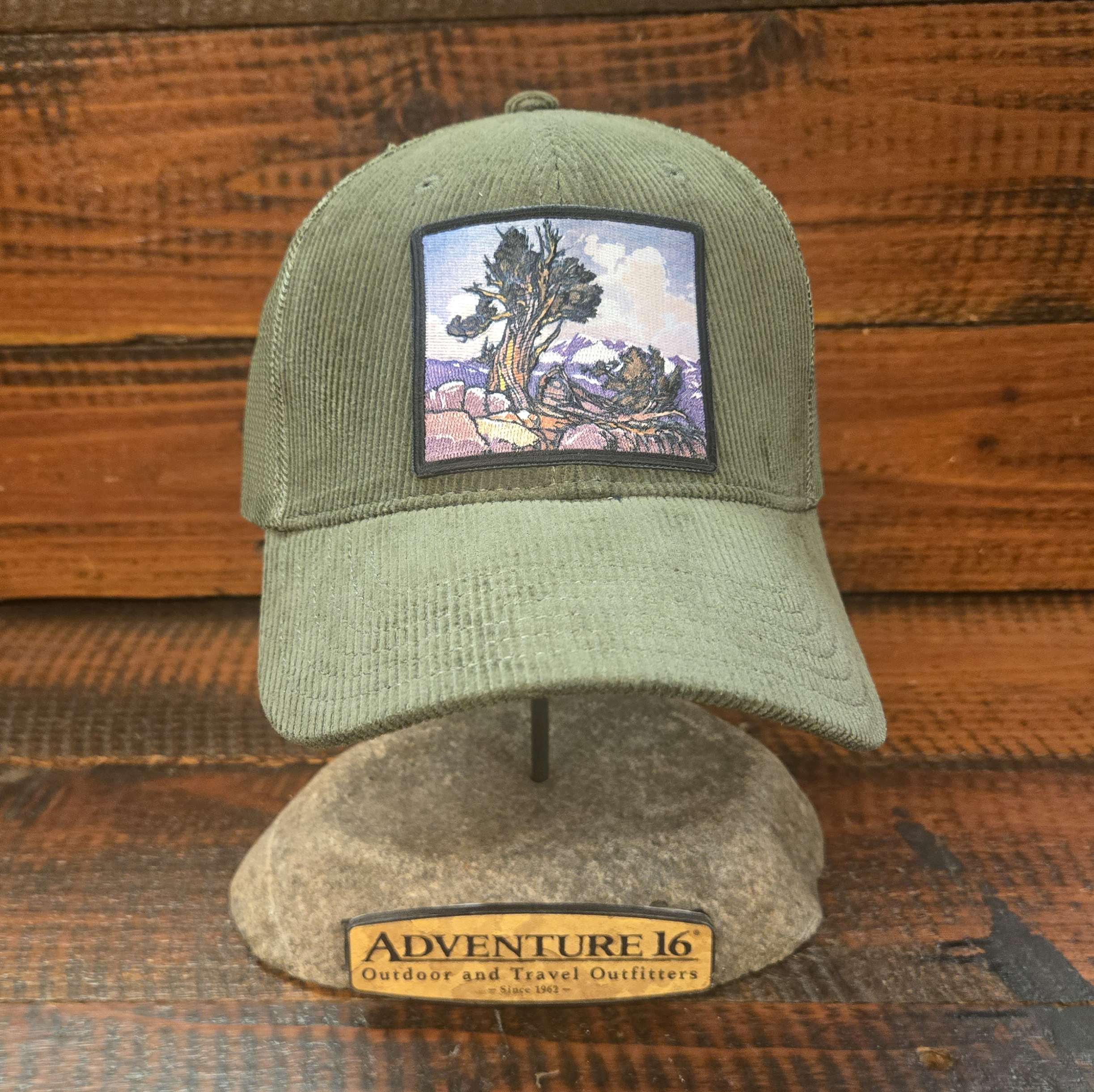 "GUARDIAN OF THE TIMBERLINE" Corduroy with Bristle Cone Pine Art Woven Label
