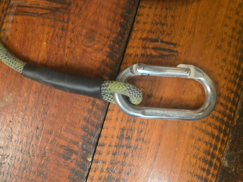 'ON BELAY' Dog Leash