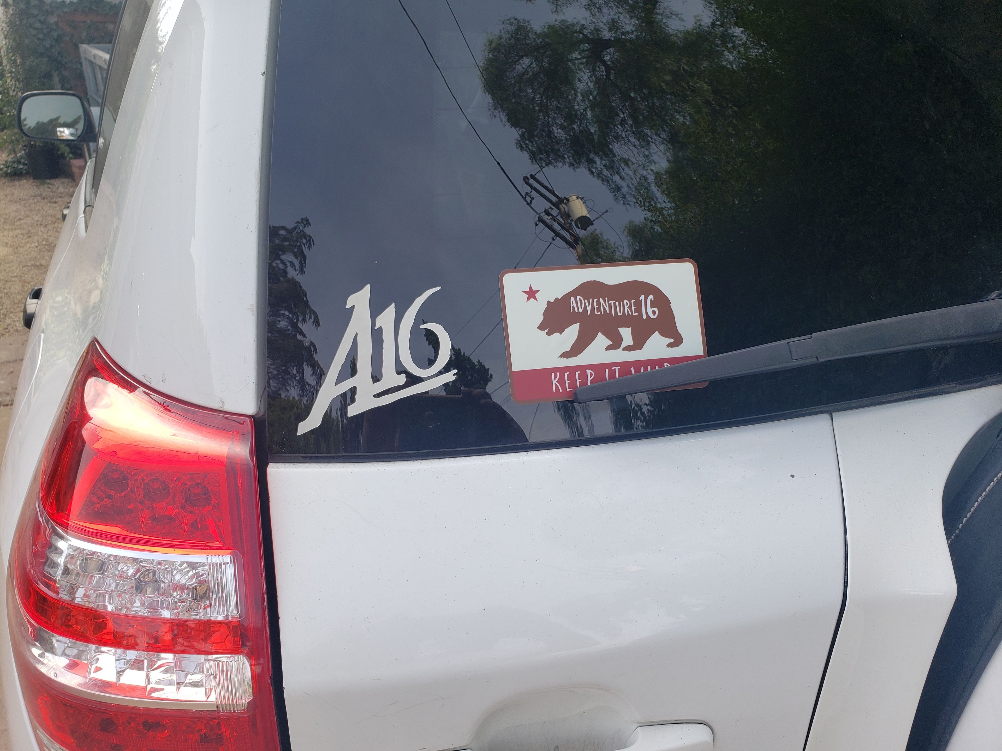 STICKER "KEEP IT WILD"