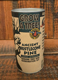 ANCIENT BRISTELCONE PINE Seed Germination Kit