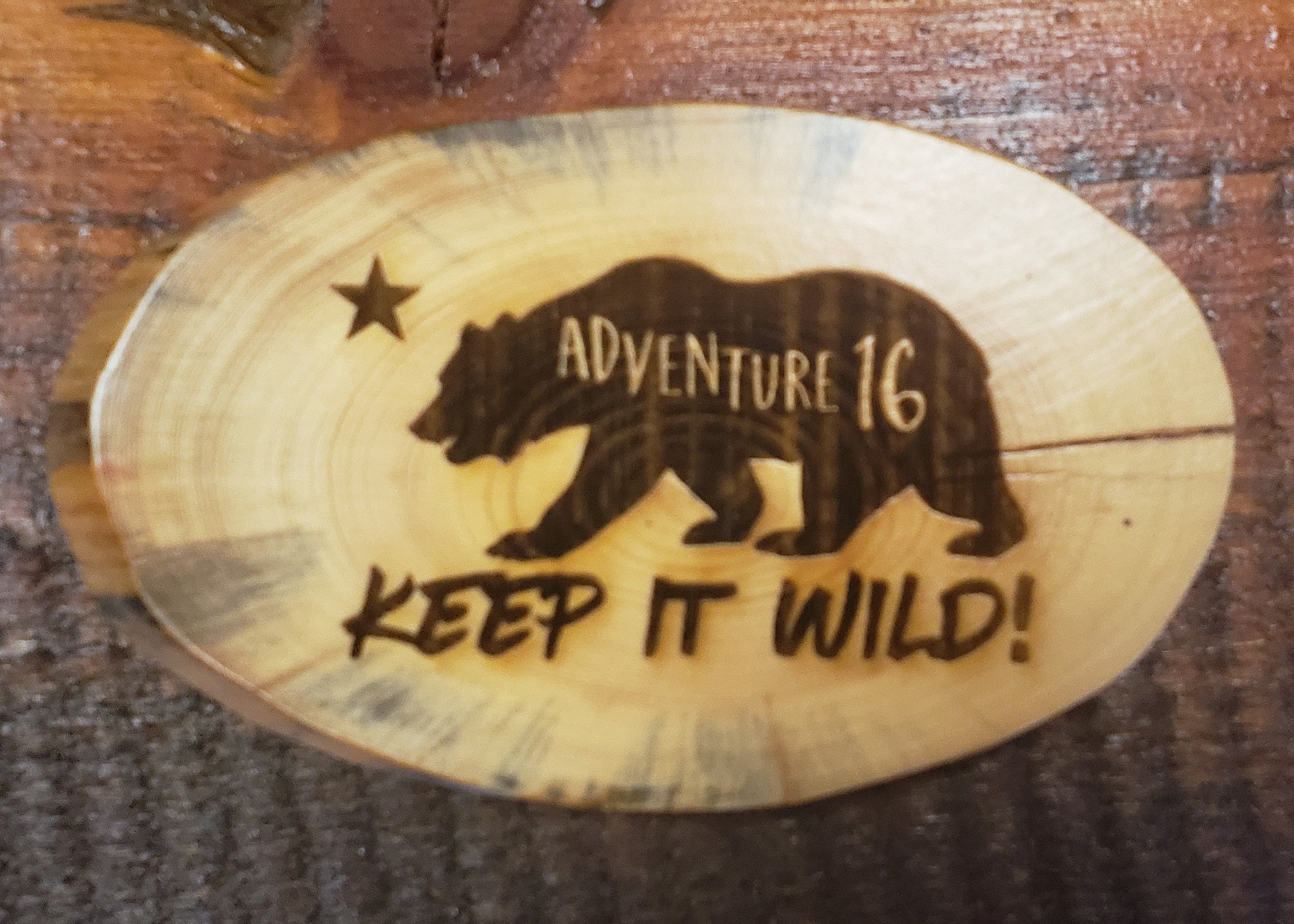 Wood Art  CA Flag Bear "Keep It Wild!" Medallion Plaque