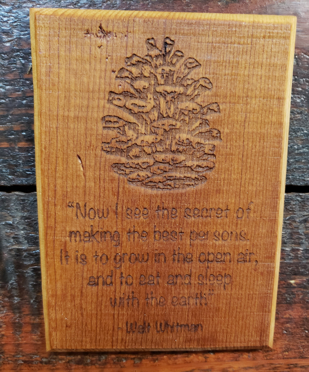Wood Art Pine Cone w/ Whitman Quote Plaque