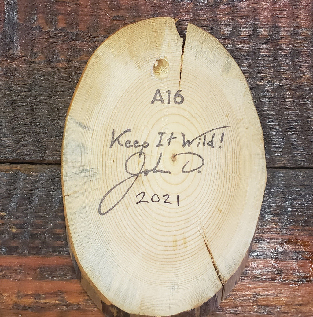 Wood Art  CA Flag Bear "Keep It Wild!" Medallion Plaque